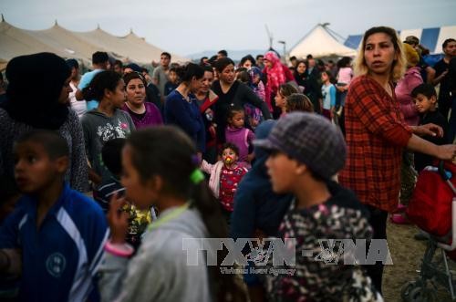 Австрия предупреждает о рекордном росте числа беженцев в Италию - ảnh 1